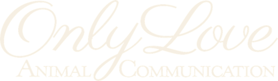 Only Love Animal Communication